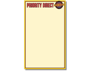 DirectMail Specialty Envelope#12